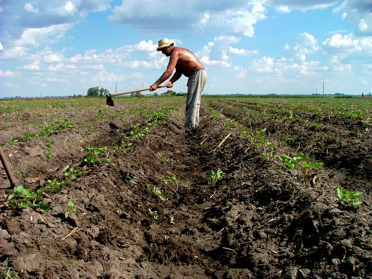 Agricultor en el Cono Sur