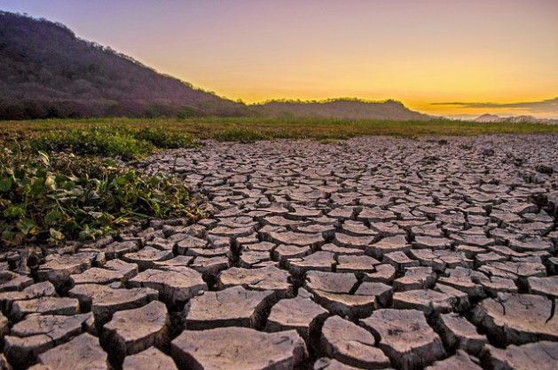Costa Rica incrementó su cobertura boscosa, pero algunos humedales y zonas al norte del país se afectaron por la deforestación y la sequía. El alto uso agroquímicos y fertilizantes en actividades agroindustriales y la tala en monocultivos vecinos dañó al humedal de Palo Verde y los bosques aledaños. Crédito: Miriet Abrego/IPS
